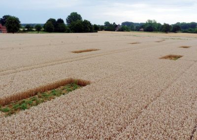 Lerchenfenster – mit ergänzender Struktur in der Landschaft