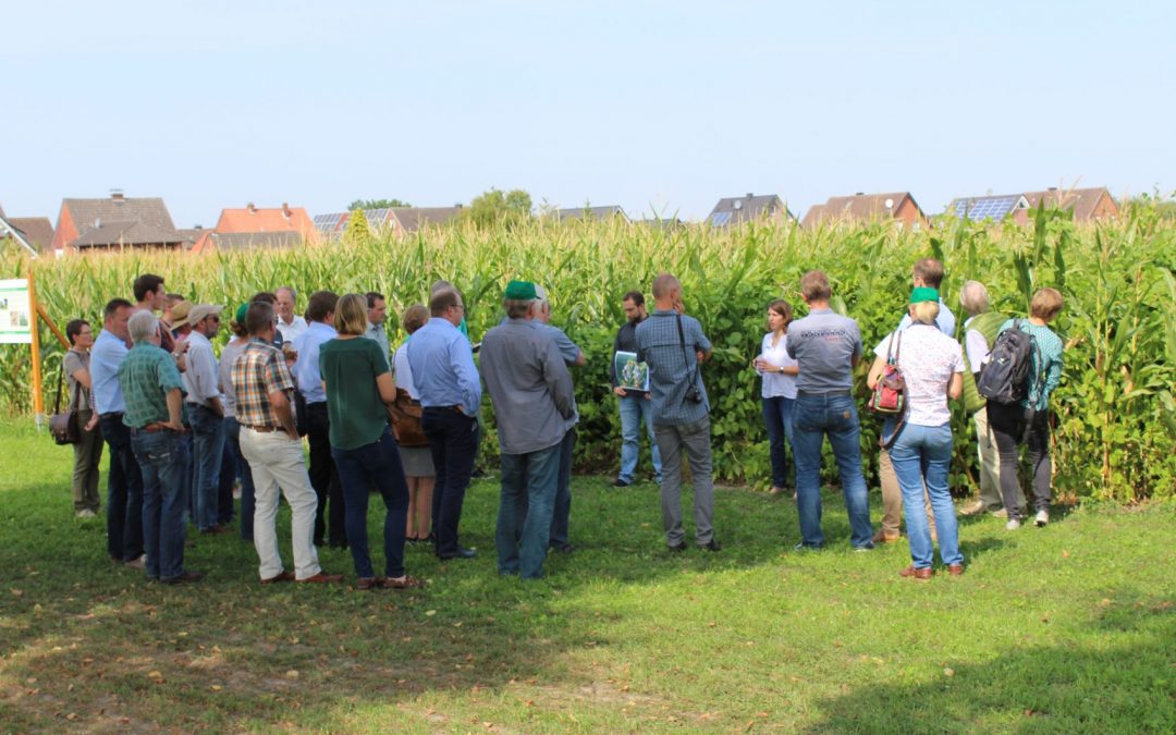 Feldtag des Projekts Energiepflanzenanbau und Biodiversität