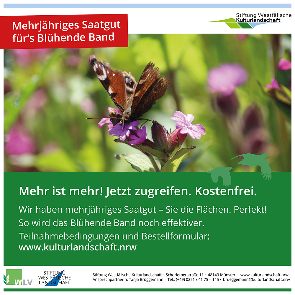 compo bio universal langzeit-dünger mit schafwolle 10 kg COMPO BIO Universal Langzeit-Dünger mit Schafwolle kaufen main image 0