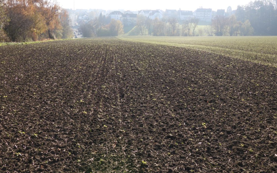 PIK Bochum: Die erste Tranche geschafft!