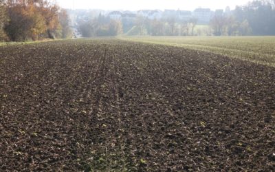 PIK Bochum: Die erste Tranche geschafft!