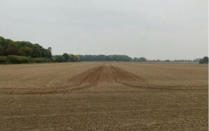 Einsaat der Strukturbrücke im Herbst gemeinsam mit dem Wintergetreide