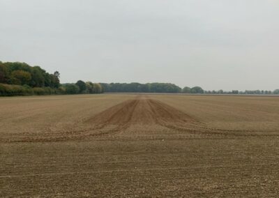 Einsaat der Strukturbrücke im Herbst gemeinsam mit dem Wintergetreide