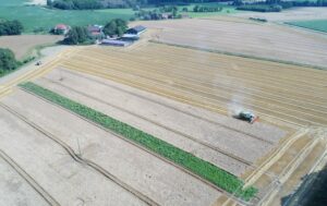 Strukturbrücke bleibt nach der Ernte des Getreides auf dem Feld