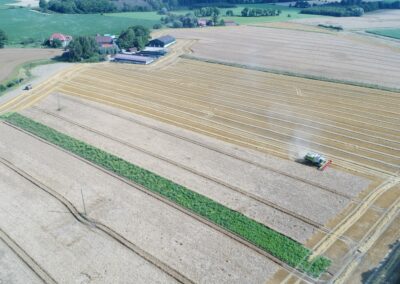 Strukturbrücke bleibt nach der Ernte des Getreides auf dem Feld