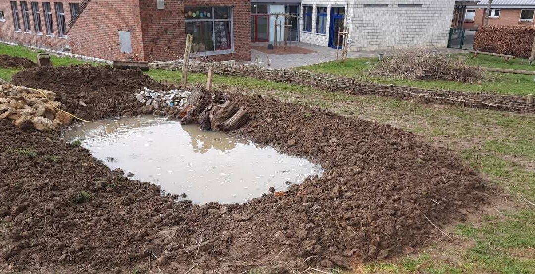 Viertklässler erschaffen „Schwalbenbaumarkt“