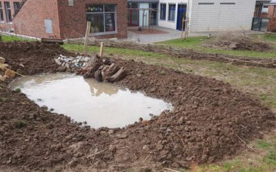 Viertklässler erschaffen „Schwalbenbaumarkt“