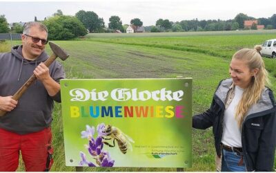 Zeitunglesen für Blumenwiese