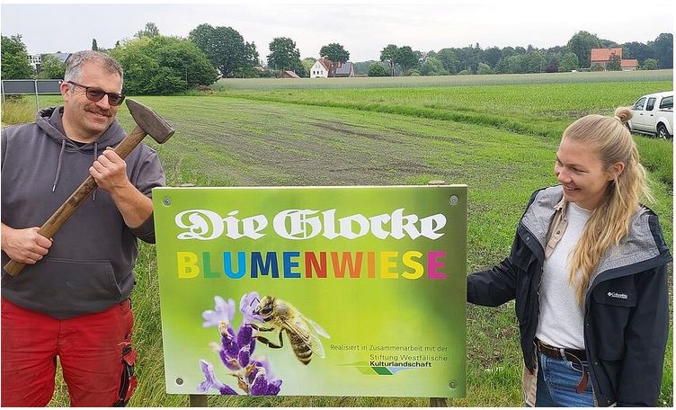 Zeitunglesen für Blumenwiese