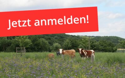 Anmelden: Projektfinale F.R.A.N.Z