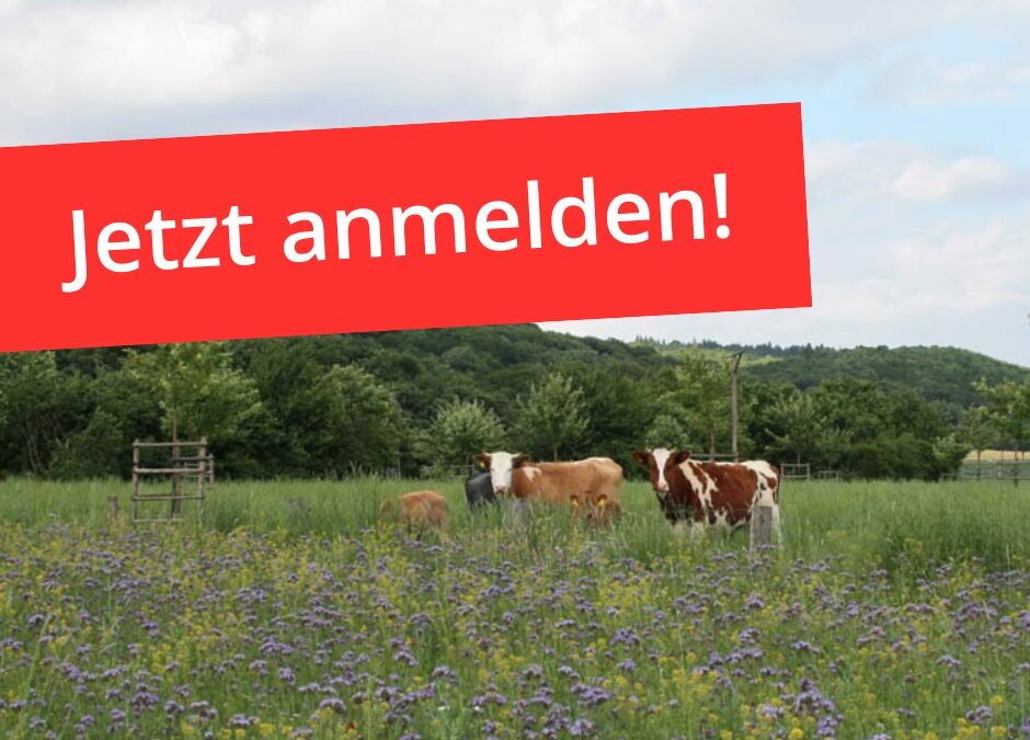 Anmelden: Projektfinale F.R.A.N.Z