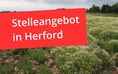 Jobangebot in Herford