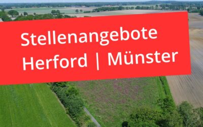 Stellenangebote