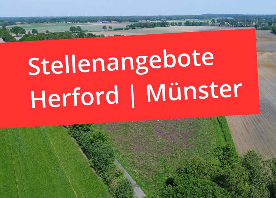 Stellenangebote
