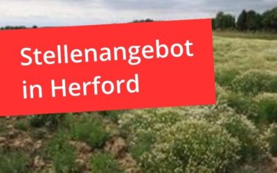 Jobangebot in Herford