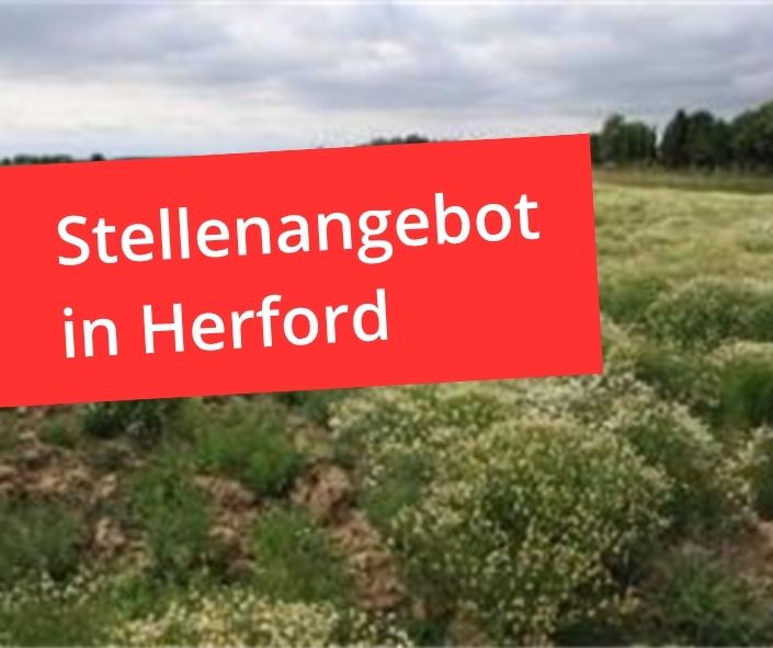 Jobangebot in Herford