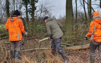 Online-Infoabend Heckenpflege