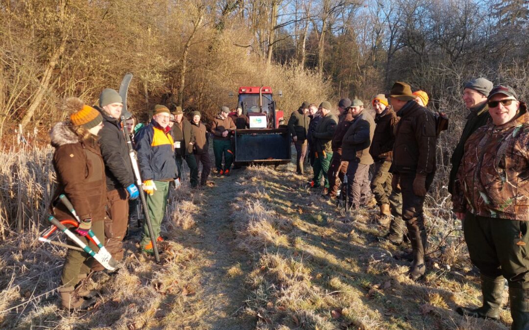 UNsere NAtur: Heckenpflege in der Praxis