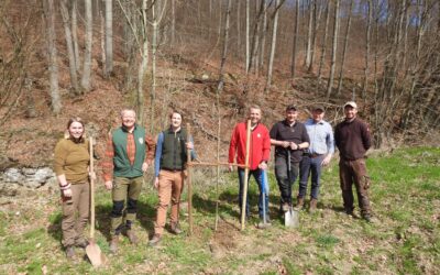 Lebendige Felder und bunte Wälder – Erste Pflanzaktion
